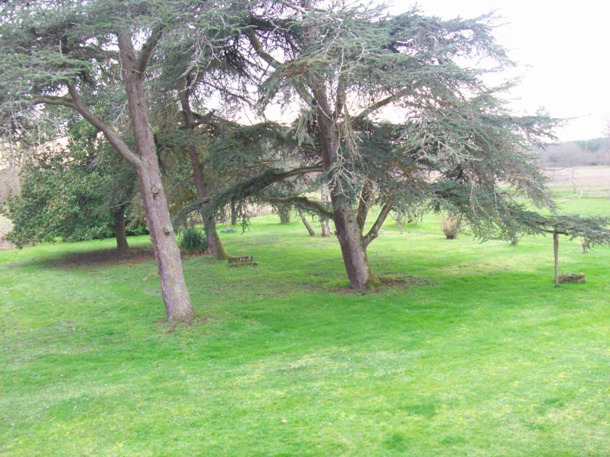 Chateau Le Guit Grignols  Bagian luar foto